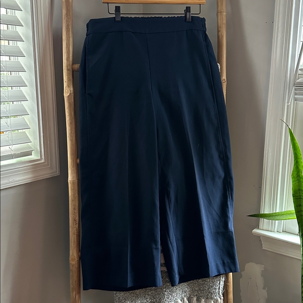 Madewell Navy Blue Elastic Waist Pants